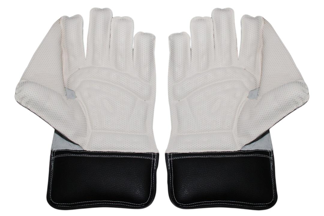 SS Wicket Keeping Gloves Academy