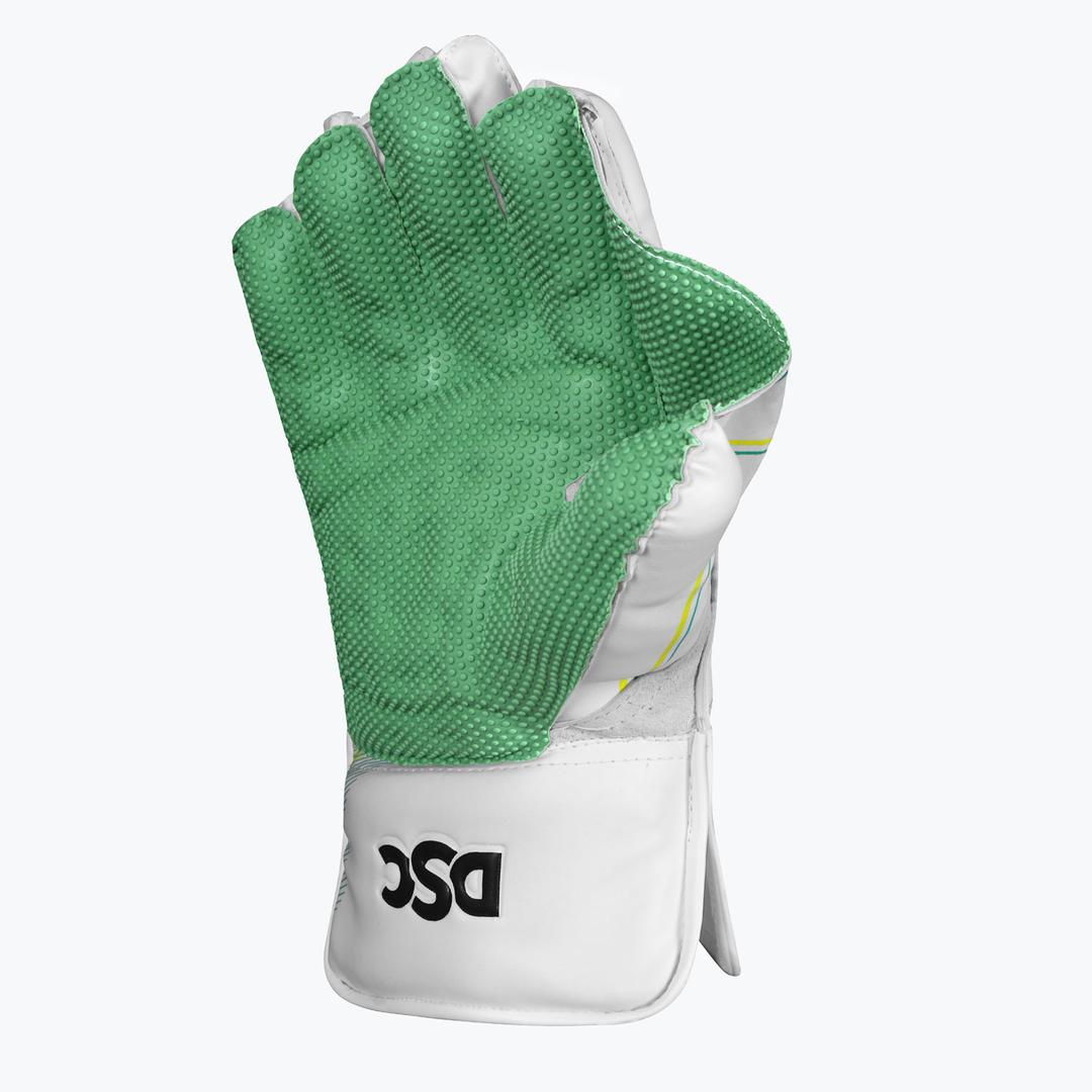 DSC Wicket Keeping Gloves Condor Motion