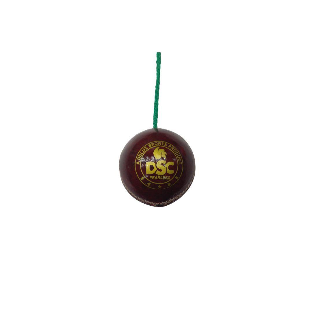 DSC Leather Ball Hanging