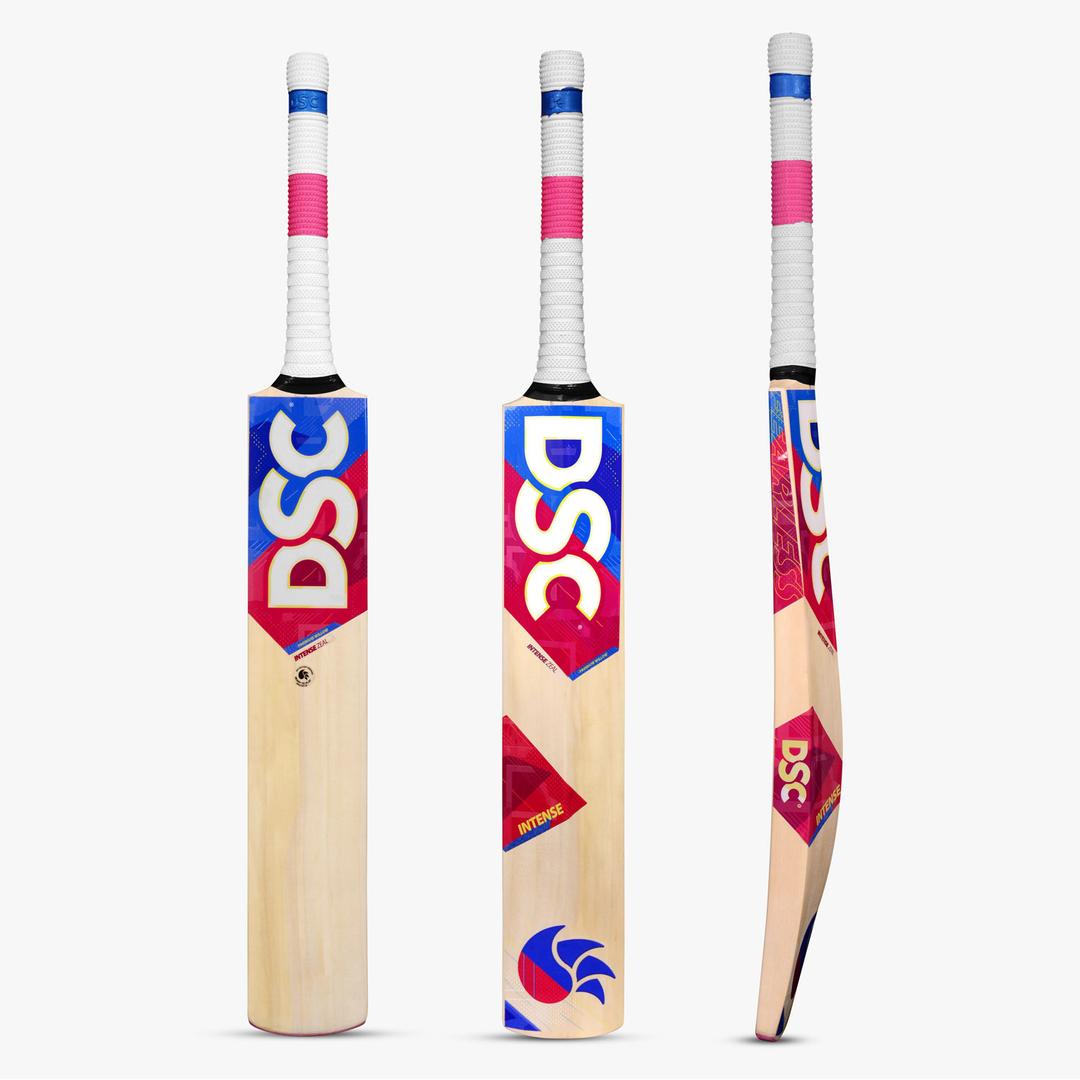 DSC Kashmir Willow Cricket Bat Intense Zeal