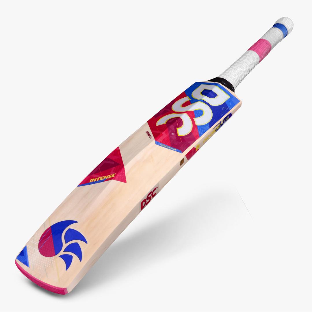 DSC Kashmir Willow Cricket Bat Intense Zeal