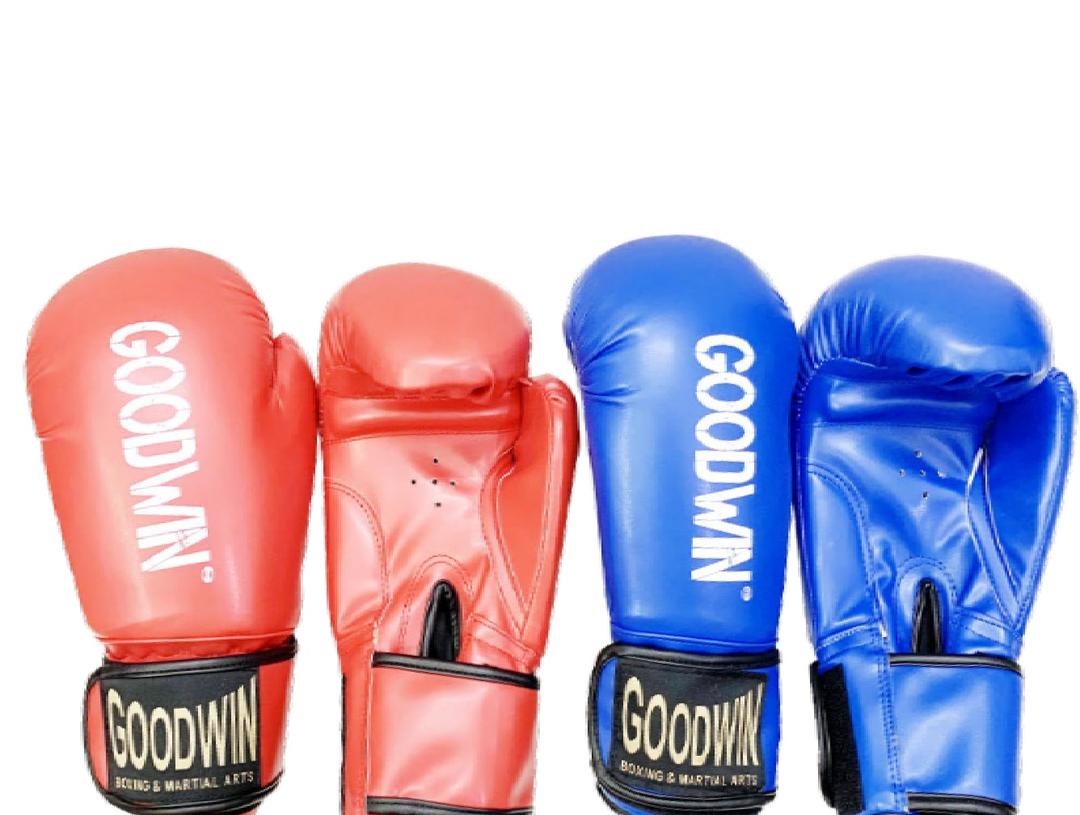 Goodwin Boxing Gloves Synthetic Moulded (Match)