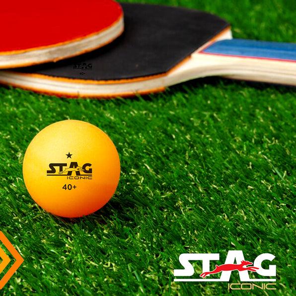 STAG Iconic 1 Star Table Tennis Ball