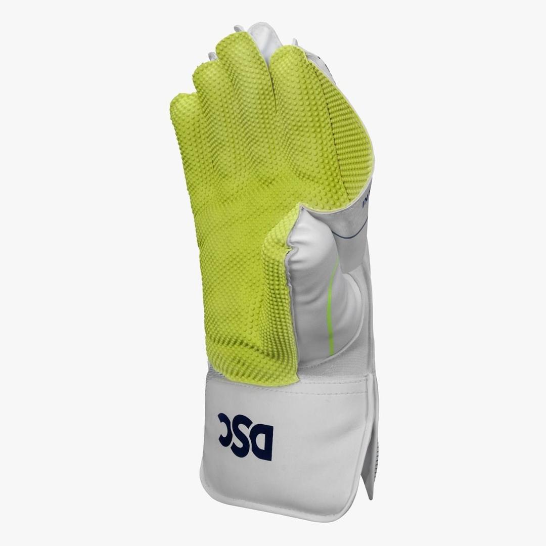 DSC Wicket Keeping Gloves Intense Attitude